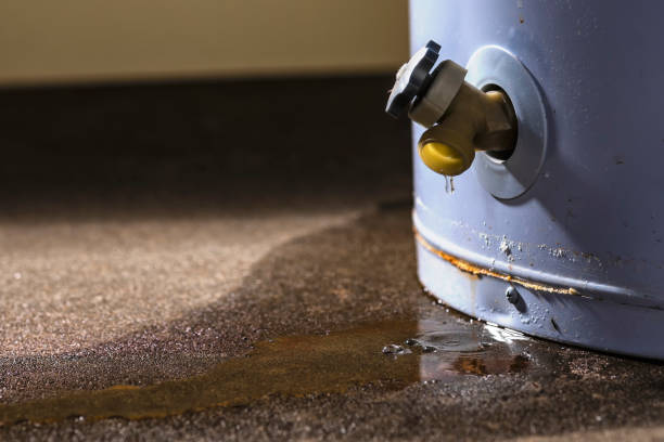 Best Flooded house restoration  in Jacksonville, NC