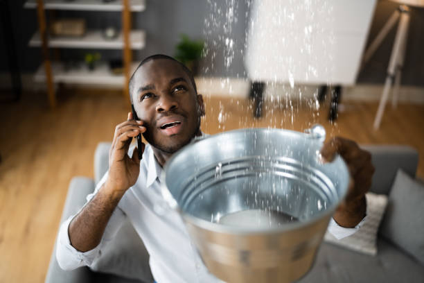 Best Water damage restoration near me  in Jacksonville, NC