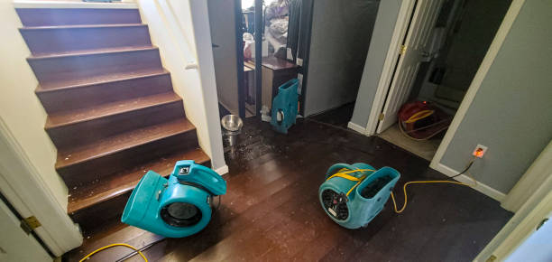 Best Fire Damage Restoration  in Jacksonville, NC