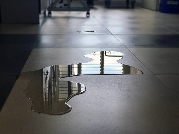 Best Water damage restoration near me  in Jacksonville, NC