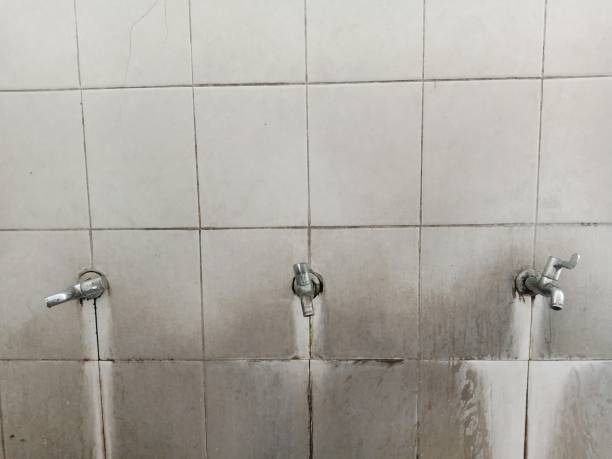 Best Sewage cleanup and water damage restoration  in Jacksonville, NC