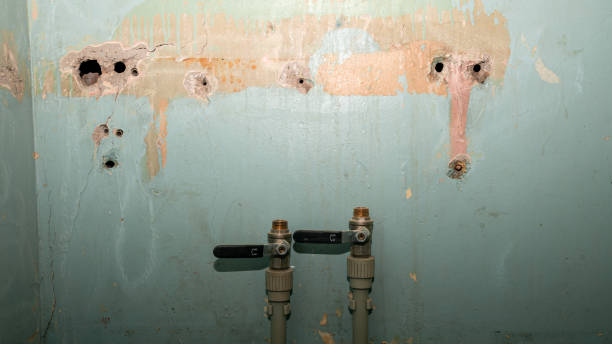 Best Commercial water damage restoration  in Jacksonville, NC