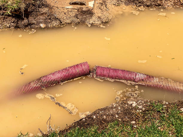 Best Flood restoration services  in Jacksonville, NC