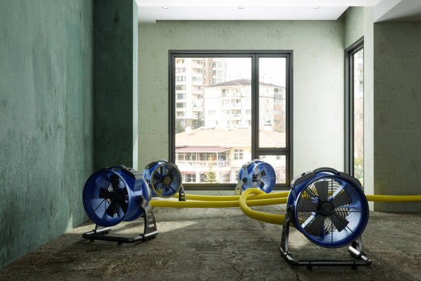Best Water damage contractors near me  in Jacksonville, NC