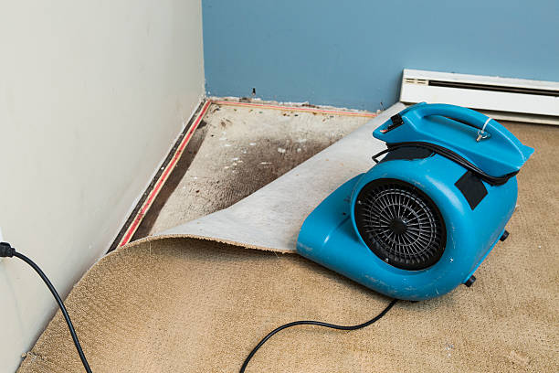 Best Commercial water damage restoration  in Jacksonville, NC